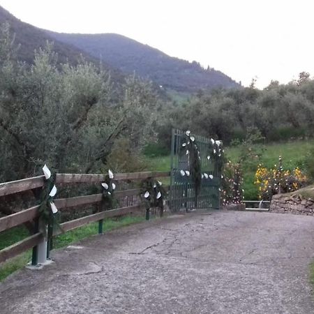 B&B Curtif Tavernola Bergamasca Exterior foto